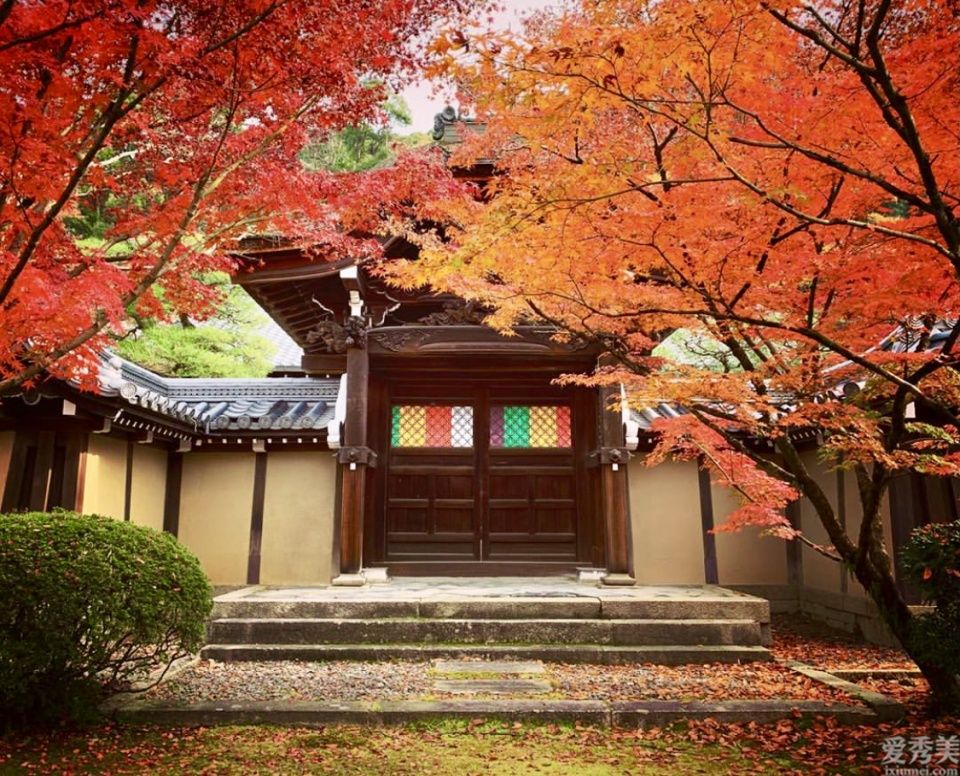 秋風漸起，與TATCHA 相約一場京都雲上紅葉狩