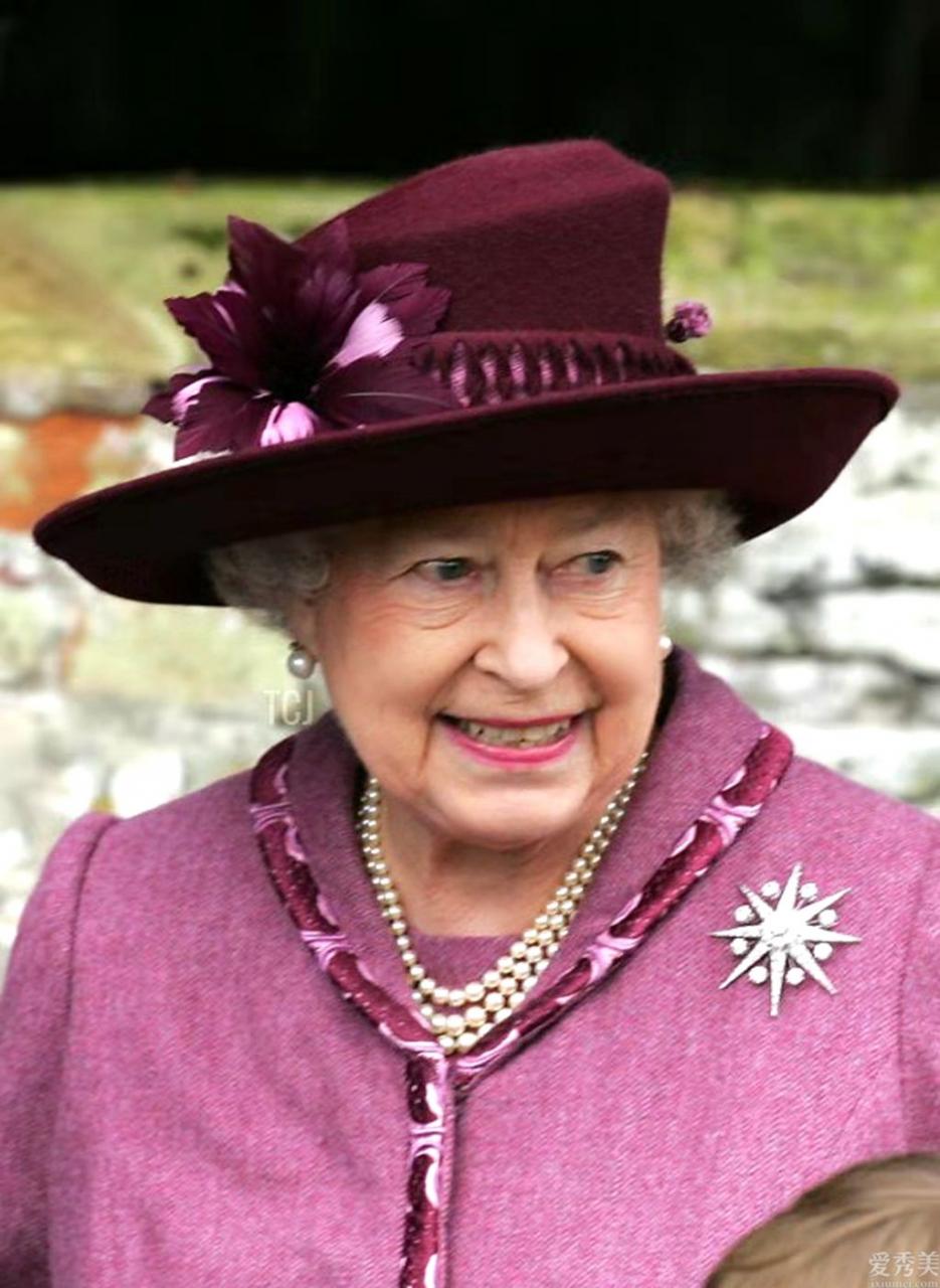 英女王戴過的胸針，這枚曾2次出現在演講會上，由此可見其鐘愛水平
